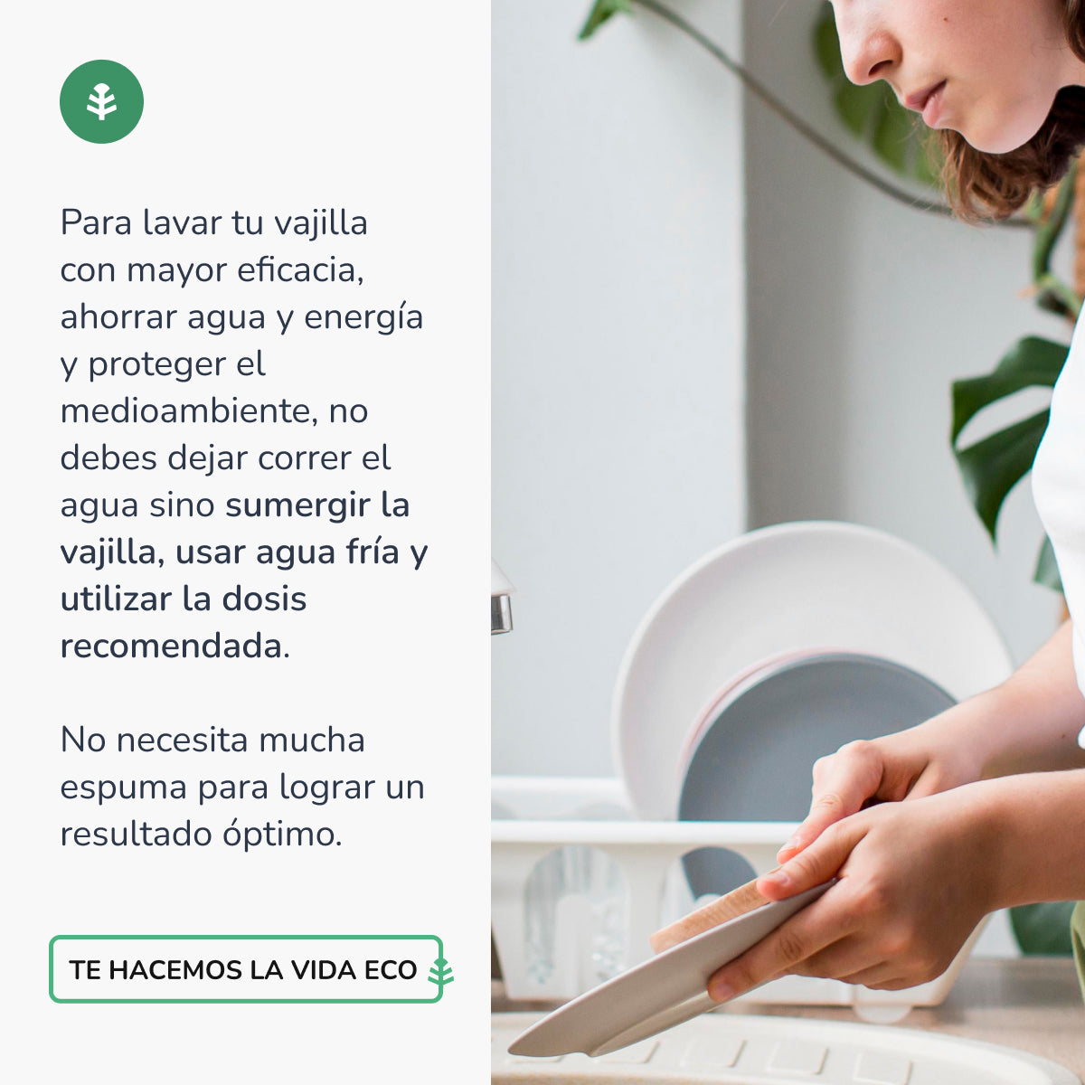 Chá Verde Planeta Huerto ECO Máquina de Lavar Louça Manual 750ml