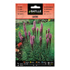 Sementes de Liatris Batlle
