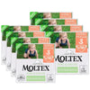 Moltex Pure & Nature T3 Pack de fraldas (4-10 kg), 448 unidades