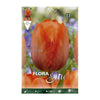 Bolbos tulipa laranja 7 unidades