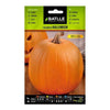 Sementes de abóbora de batalha de Halloween