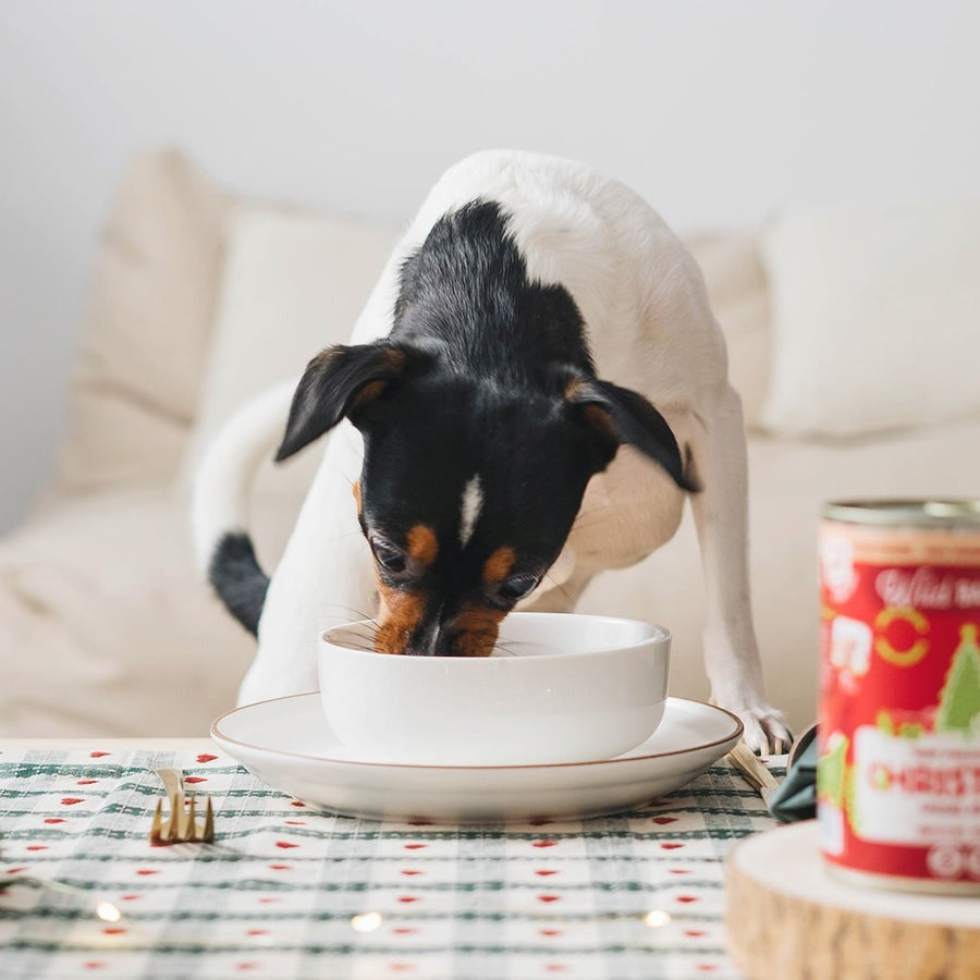 Wild Balance Christmas Recipe BARF Veado e Coelho Lata para Cães 400g