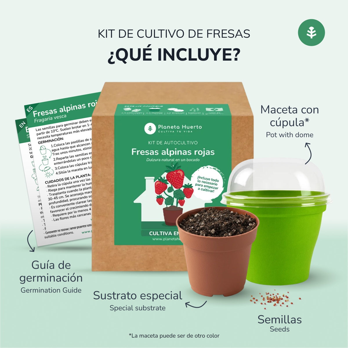 Kit de autocultivo de morangos vermelhos alpinos Planeta Huerto
