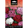 Sementes de cravinho Batlle Variegated Poet's Bouquet