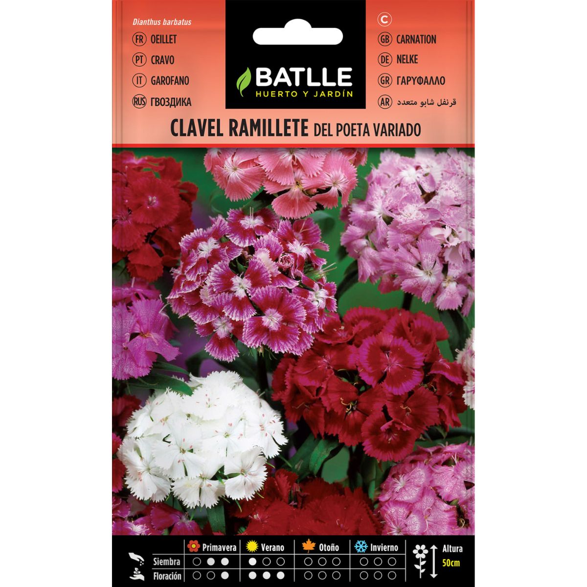 Sementes de cravinho Batlle Variegated Poet's Bouquet