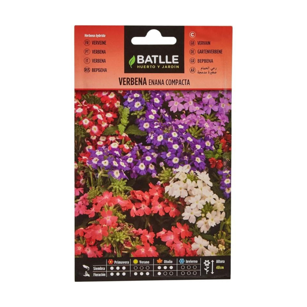 Sementes compactas de verbena anã Batlle