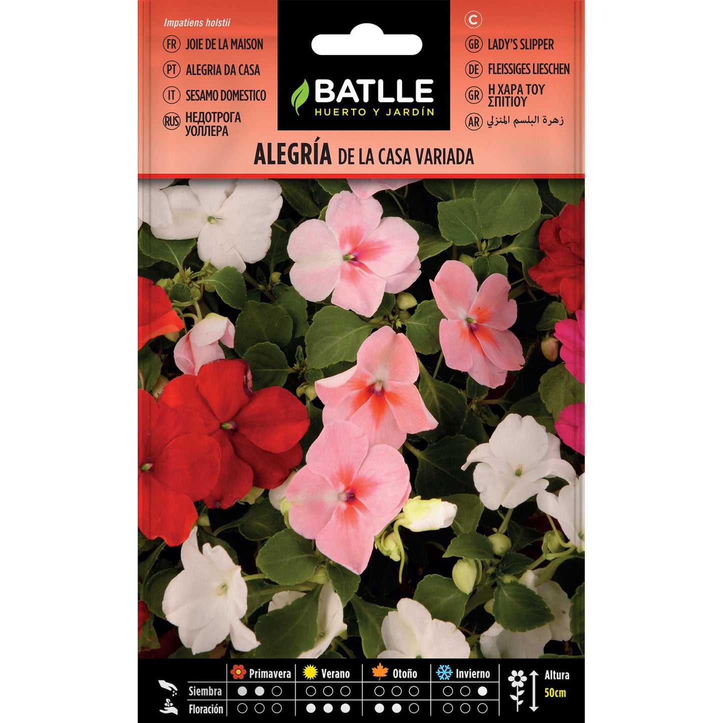Sementes de Alegria da casa de variedades Batlle