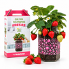 Kit cultivo interior fresas Garden Pocket