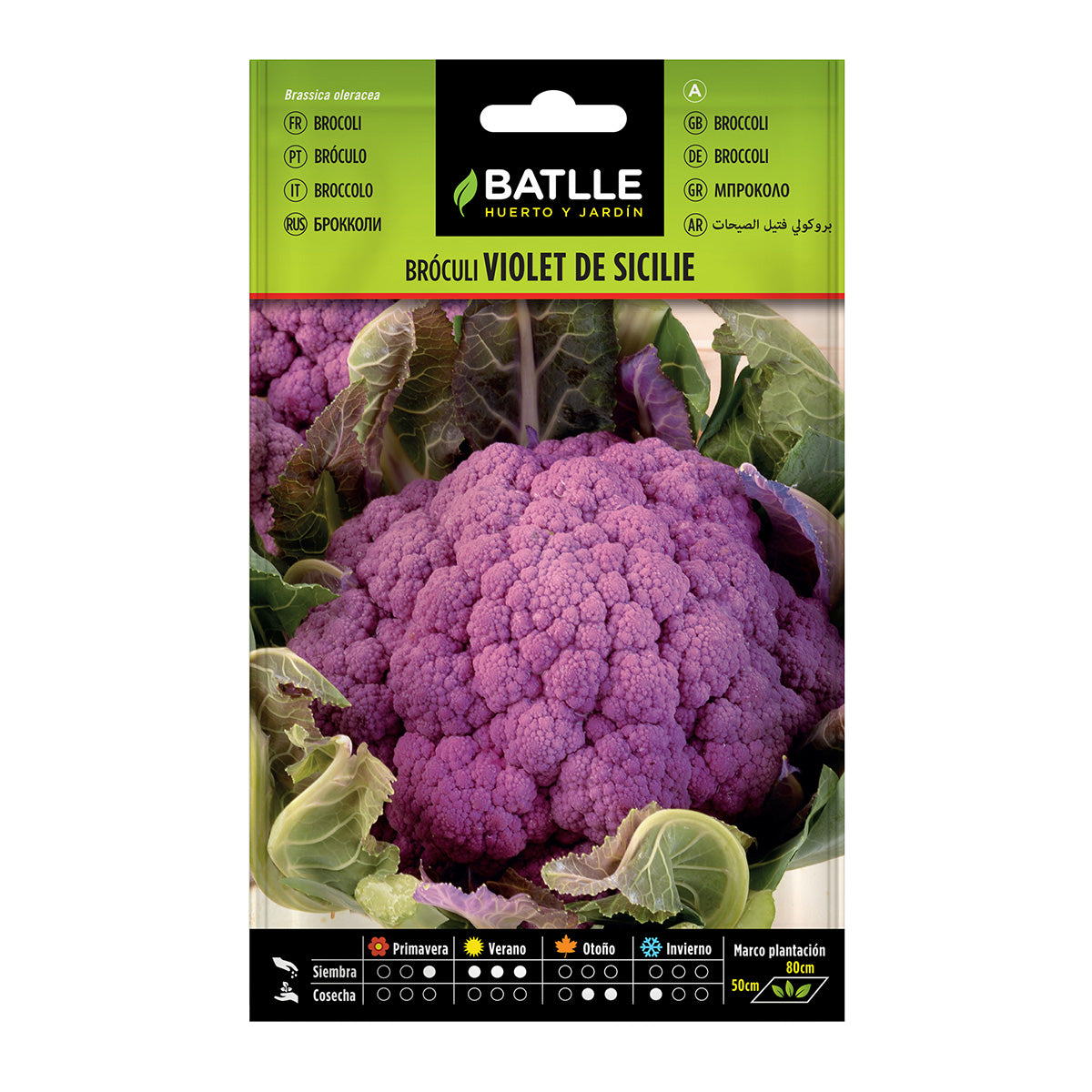 Sementes de Brócolos Violeta de Sicile Batlle