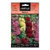 Sementes de Malva-rosa Variegada Batlle