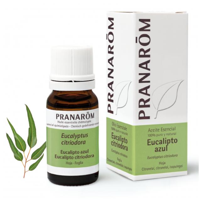 Óleo Essencial de Eucalipto Azul Citriodora BIO Pranaróm 10 ml