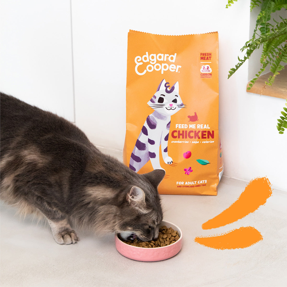 Edgard & Cooper Fresh Free Range Chicken Cat Food 4 kg