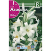 Bulbo Azucena 1ud
