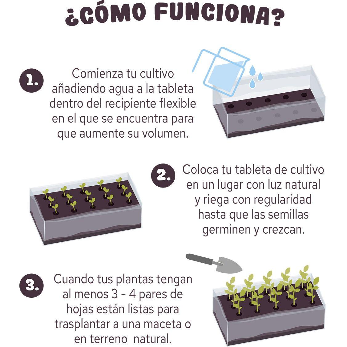 Comprimido de cultivo de girassol