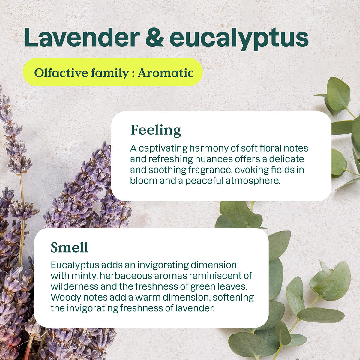 Purificador Natural de Eucalipto e Lavanda Attitude 227 g