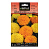 Sementes de cravo indiano variegadas Batlle Double Tall