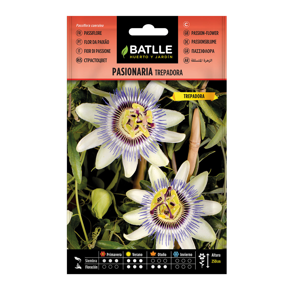 Sementes de passiflora trepadora Batlle