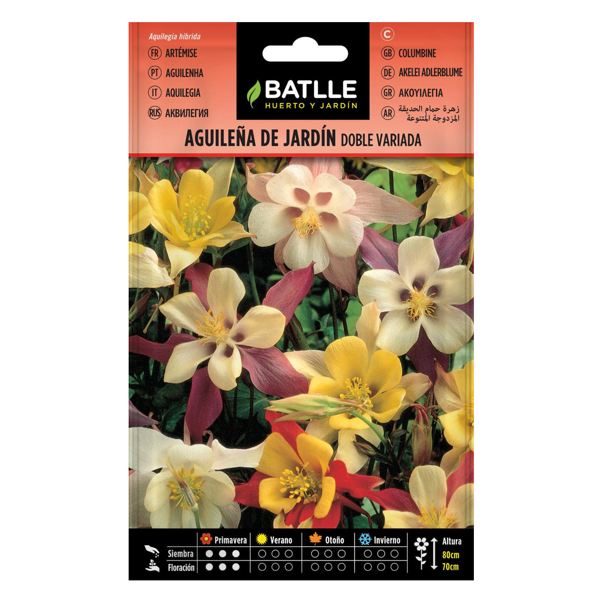 Sementes de aquilégia de jardim duplamente variegadas Batlle