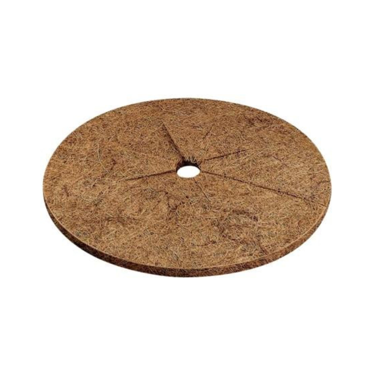 Discos de fibra de coco Biotop Ø25 cm 3 unid.