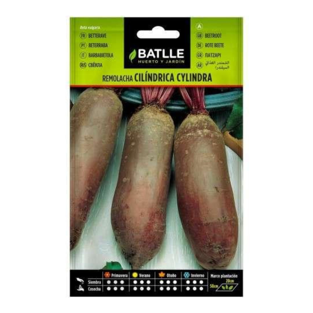 Sementes de beterraba Cylindra Batlle