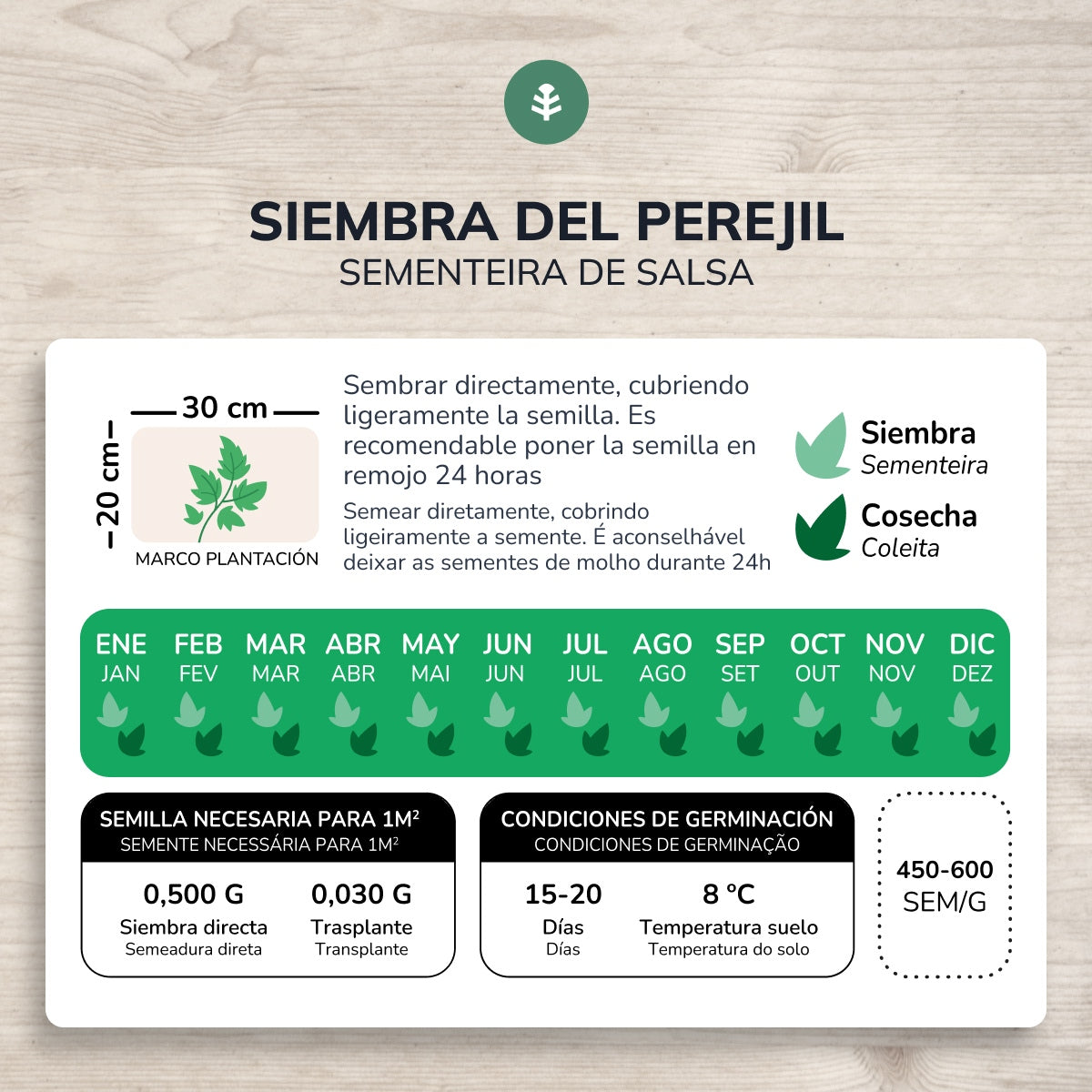 Sementes orgânicas de salsa comum de folhas lisas da Planeta Huerto