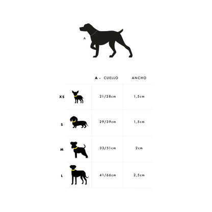 Coleira para cães SKULLS Dukier
