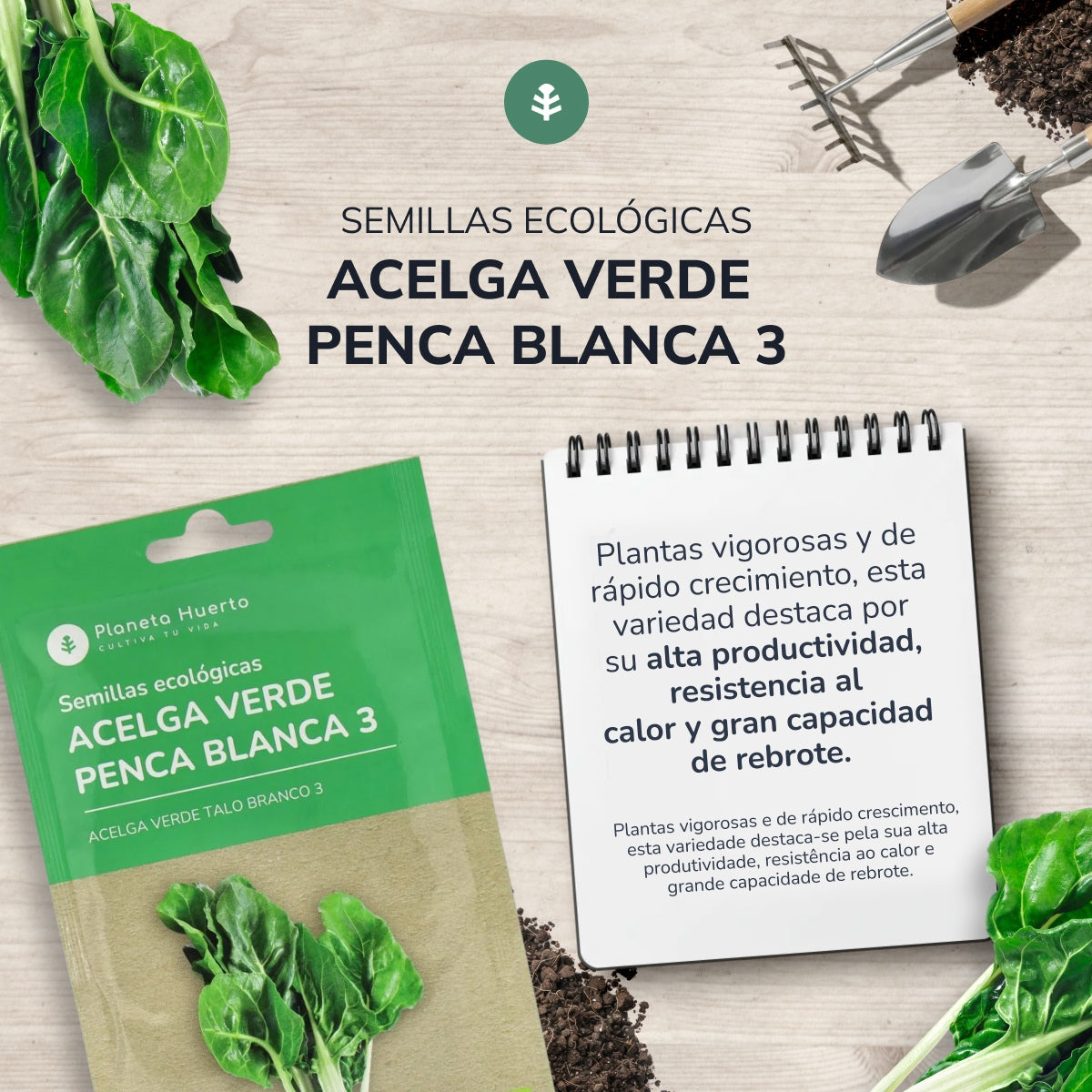 Sementes de acelga verde biológica Planeta Huerto