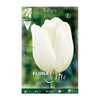 Bolbos tulipa branca 7 unidades