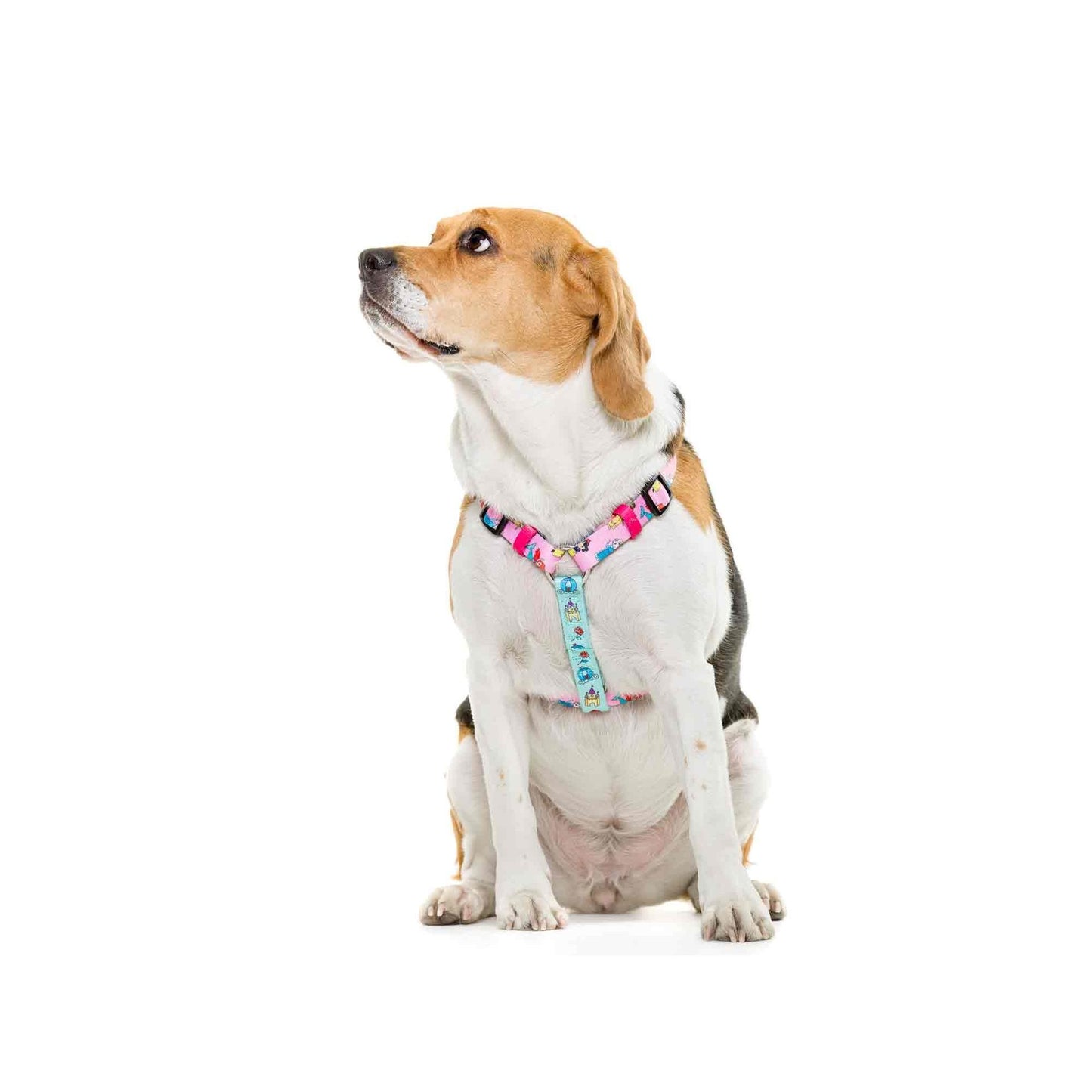 Peitoral Dukier Princess Classic para cães, tamanho L