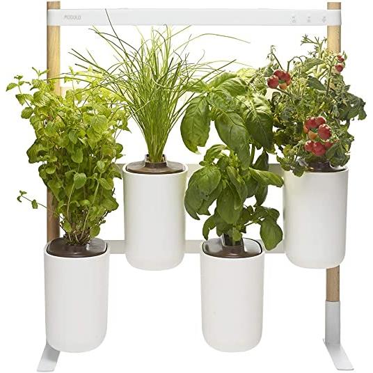 MÓDULO Jardim Interior Prêt à Pousser