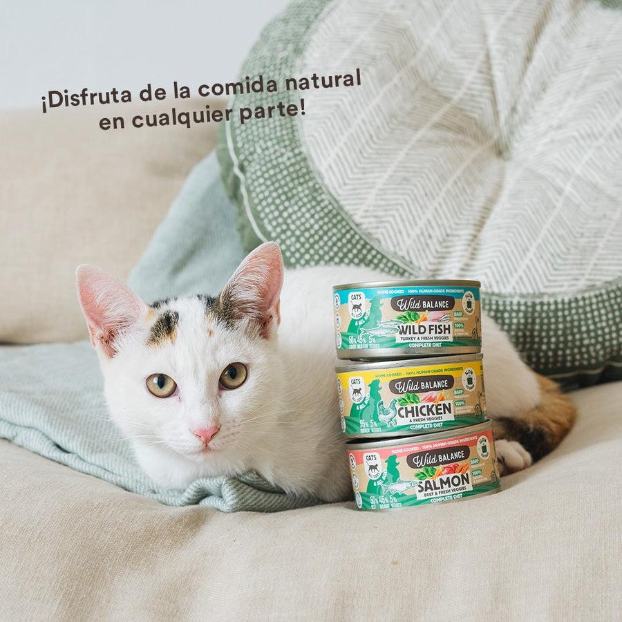 Pacote de latas de frango BARF para gatos 6 x 120 g Wild Balance