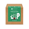Kit de autocultivo de trevo de 4 folhas Planeta Huerto