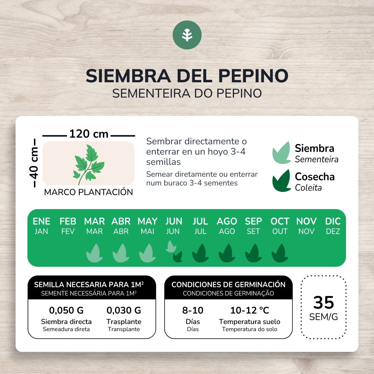 Sementes de pepino biológicas da Planeta Huerto