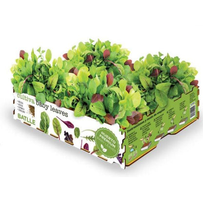 Folhas Premium Baby Gourmet Garden Batlle