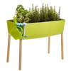 Horta urbana infantil Verdemax