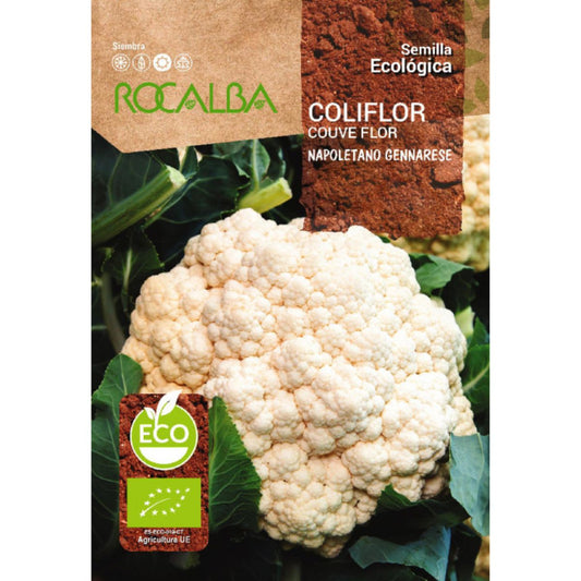 Sementes de Couve-Flor Biológica Napoletano Gennarese Rocalba