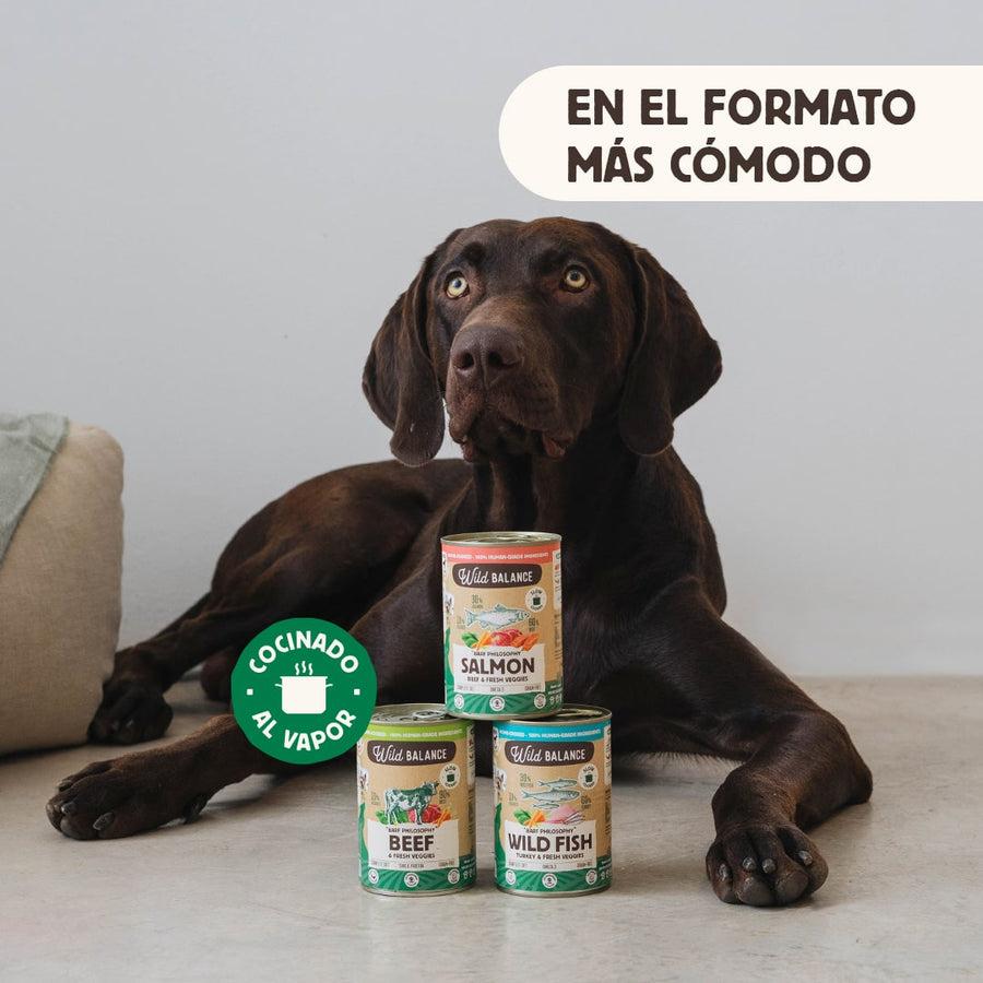 Wild Balance Salmão e Carne Barf Pack para Cães 6 x 400 g