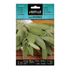 Sementes de Salvia officinalis Batlle