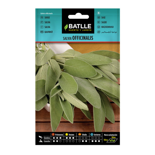 Sementes de Salvia officinalis Batlle