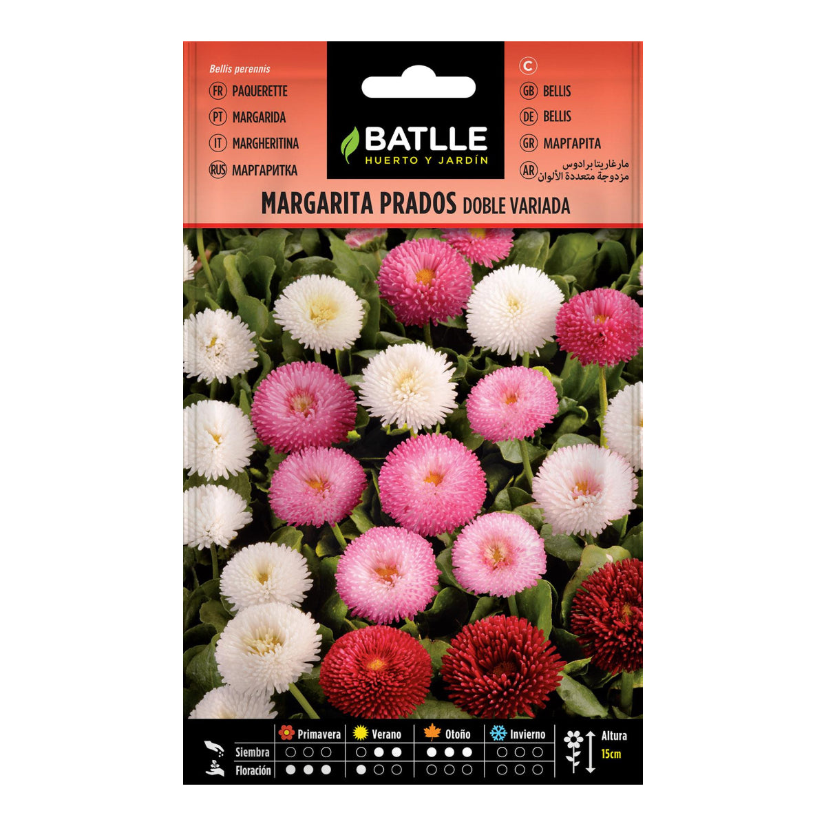 Sementes de Daisy Meadows Duplamente Variegadas Batlle