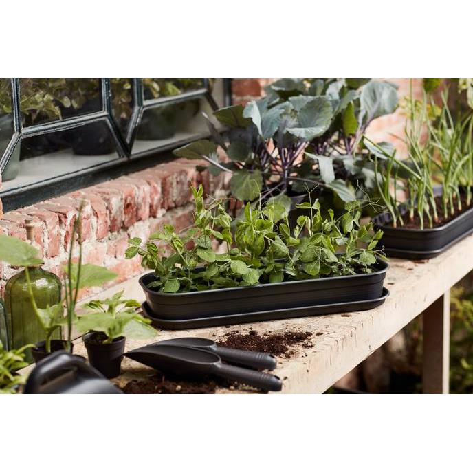 Tabuleiro de cultivo Elho Green Basics Antracite S