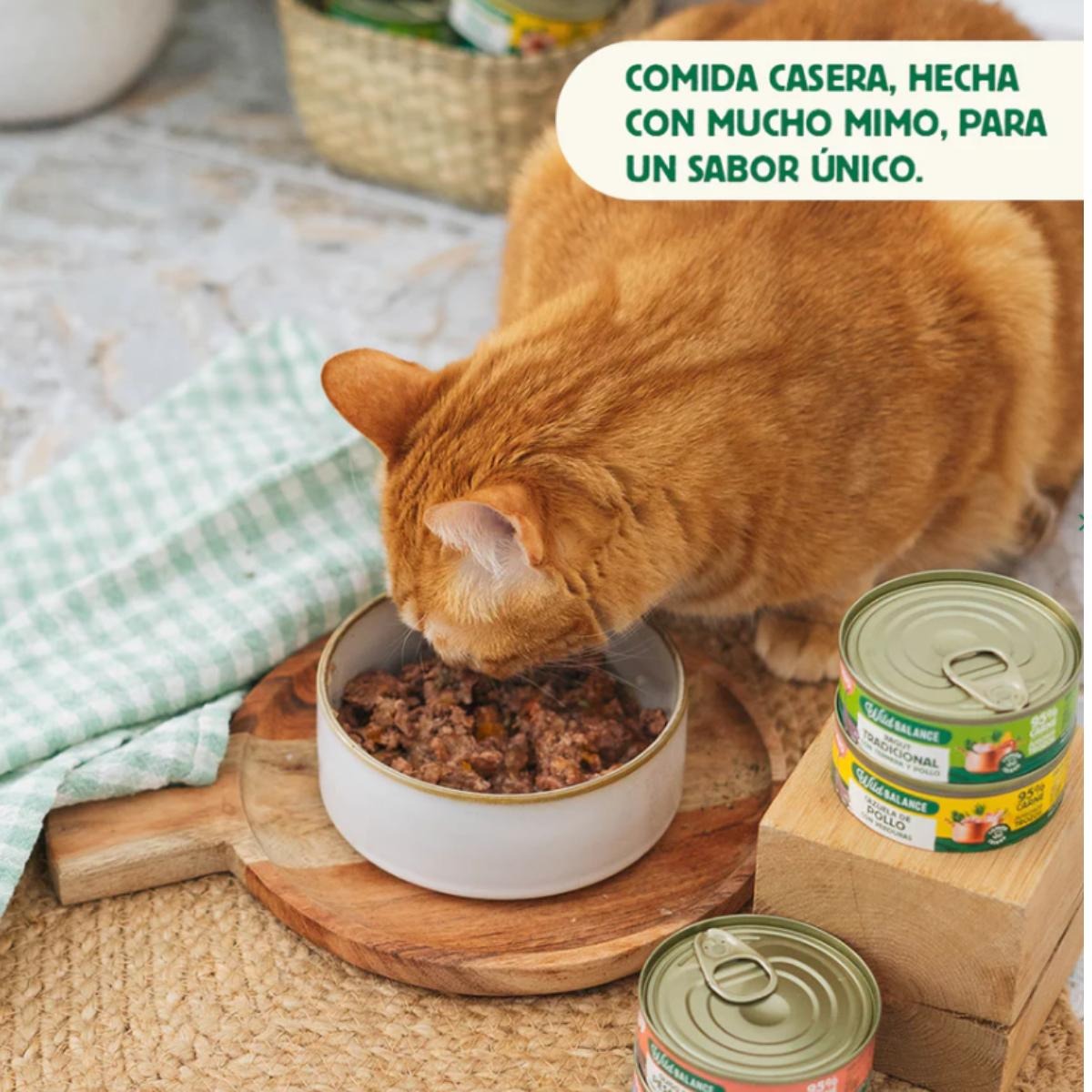 Ração para gatos Wild Balance Fisherman's Stew com salmão e porco, pacote de 6 unidades de 80g