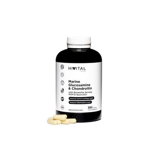 Glucosamina Marinha com Condroitina Hivital 365 cápsulas