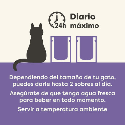 Applaws Cat Sachet Fish Selection Multipack 12 x 70 g Ração húmida para gatos