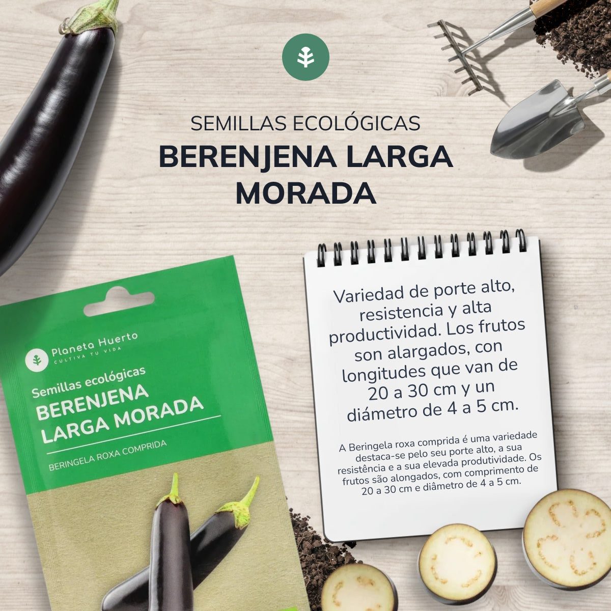 Sementes orgânicas de beringela roxa longa Planeta Huerto