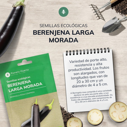 Sementes orgânicas de beringela roxa longa Planeta Huerto