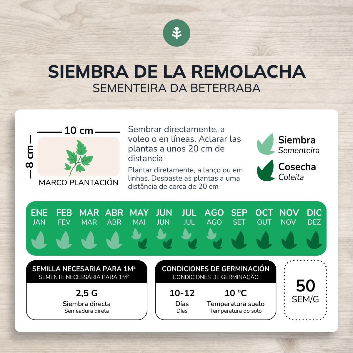 Sementes de beterraba biológica Detroit 2 da Planeta Huerto