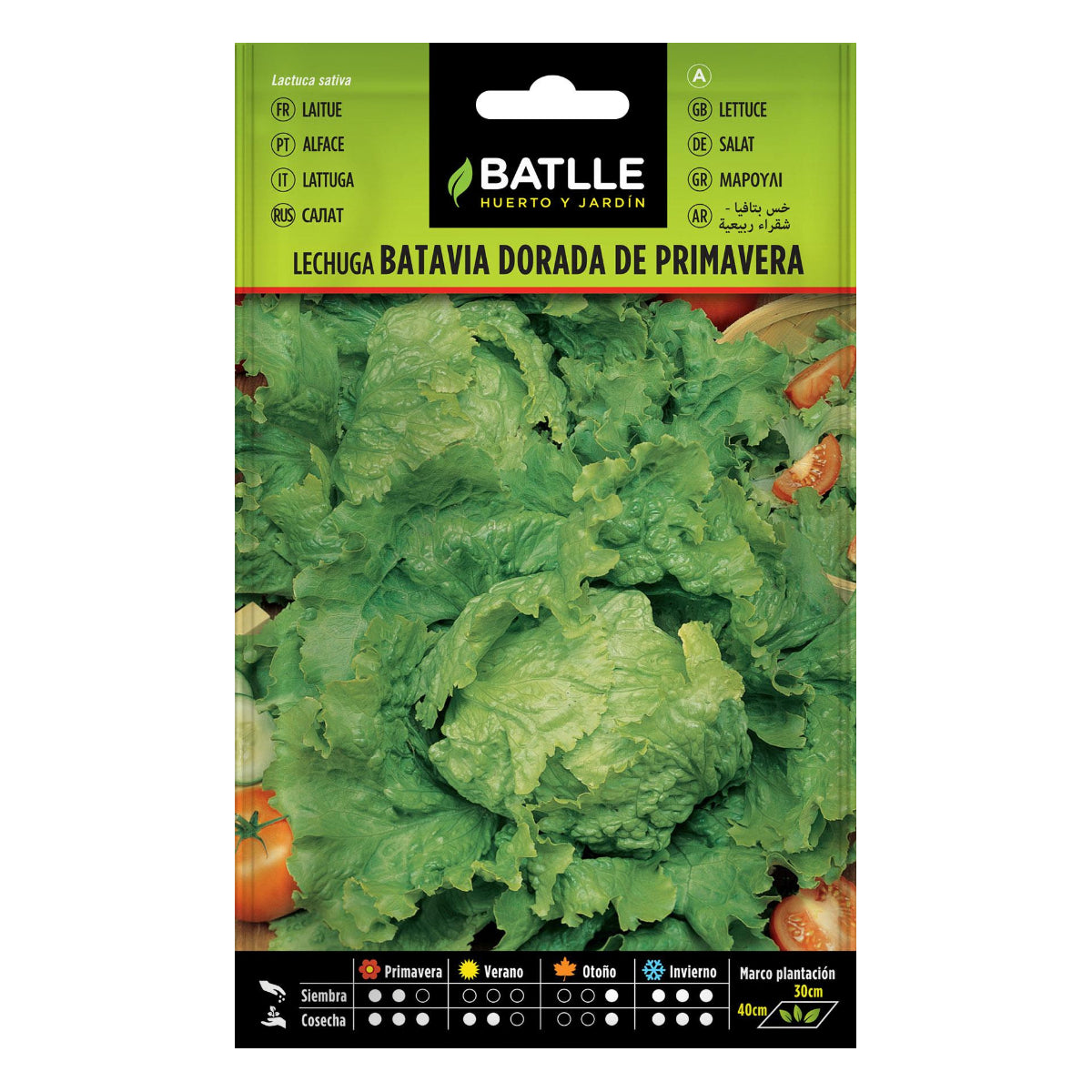 Sementes de alface Batlle Golden Spring