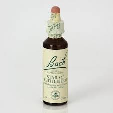 Bach 29 Estrela de Belém 20ml (Estrela de Belém Bach