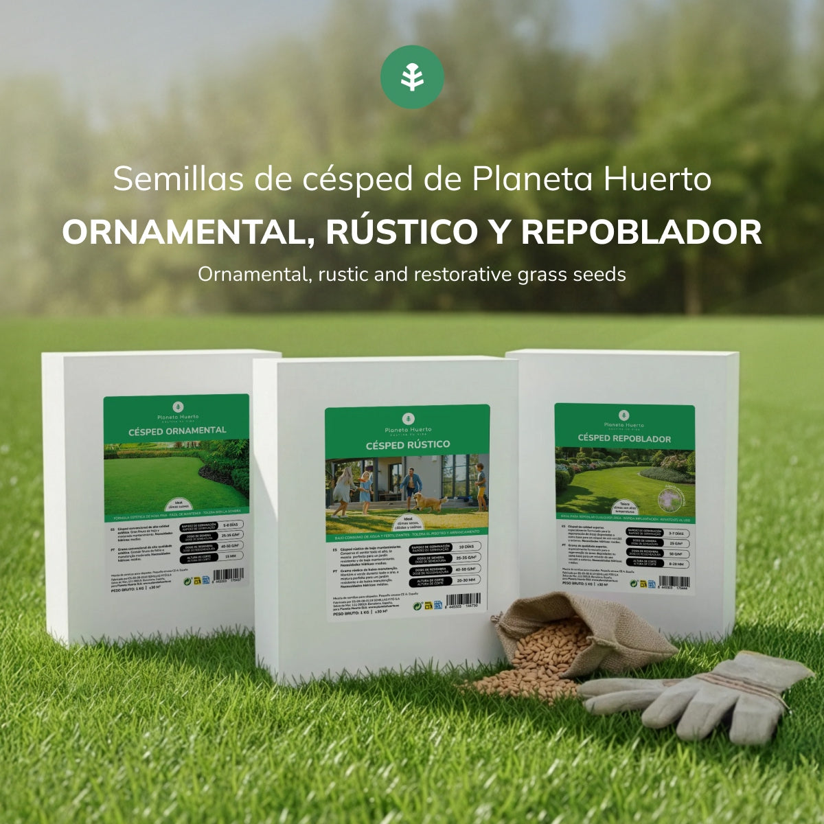 Sementes de Relva Ornamental Planeta Huerto 1 kg